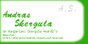 andras skergula business card